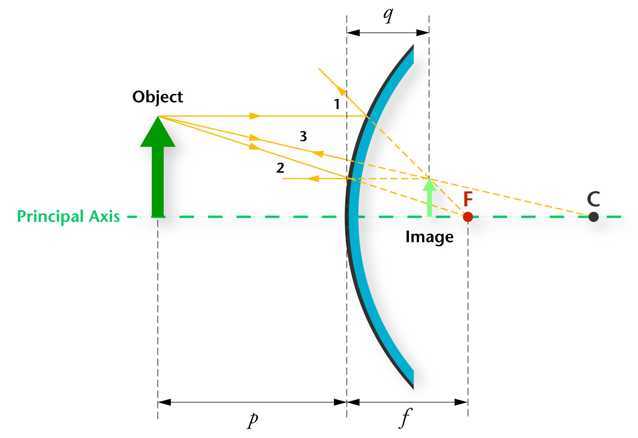 convex-mirror-ray-diagram-hanenhuusholli